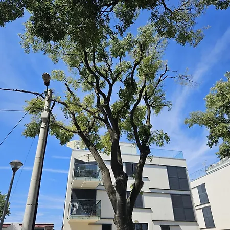 Lusi Appartamento Zara